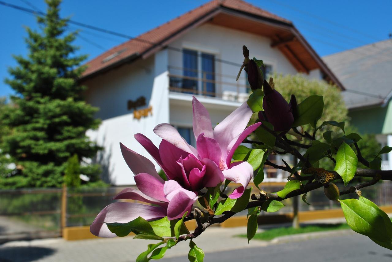 Boutique Apartment "Welcome" Hévíz 外观 照片